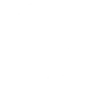 Logo de nuestro socio Allianz México en blanco | Donna