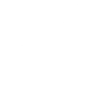 Logo de nuestro socio Axa México en blanco | Donna