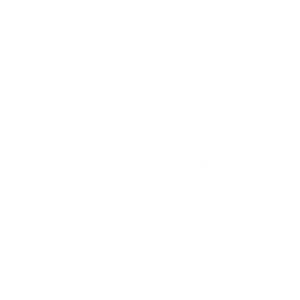 Logo de nuestro socio GMX "Grupo Mexicano de Seguros" en blanco | Donna
