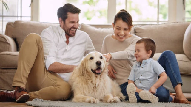 familia feliz con perro en casa representando la importancia de proteger a la familia con un seguro de vida